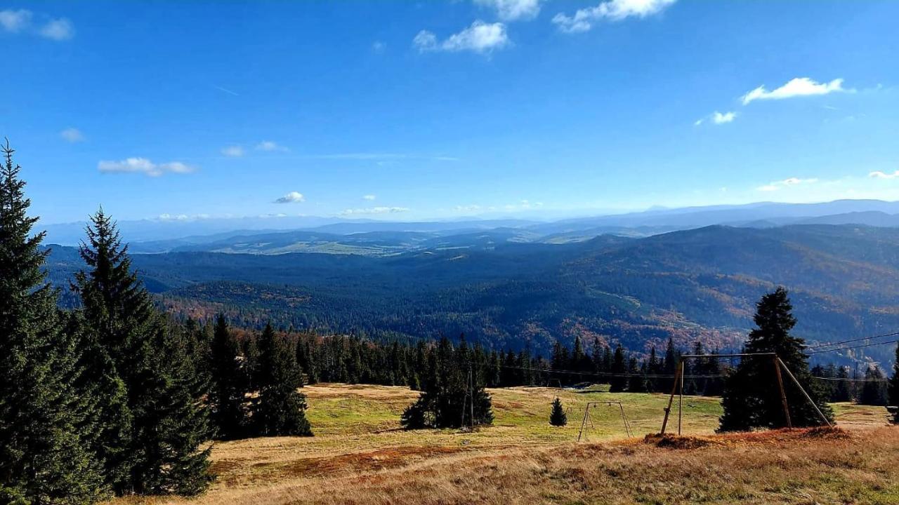 Pokoje Pod Szyndzielnia Bielsko-Biala Exterior foto